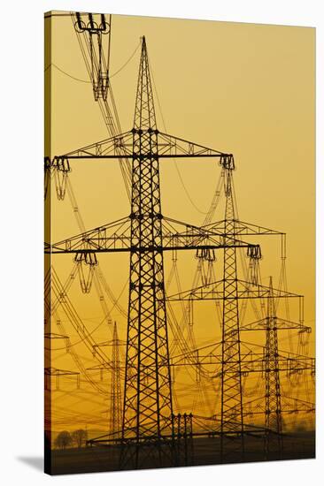 Power lines in morning light, Germany, Europe-Hans-Peter Merten-Premier Image Canvas