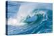 Powerful wave breaking off a beach, Hawaii-Mark A Johnson-Premier Image Canvas