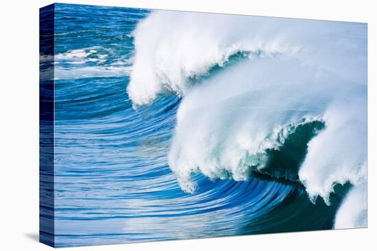 Powerful wave breaking off a beach, Hawaii-Mark A Johnson-Premier Image Canvas