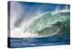 Powerful wave breaking off a beach, Hawaii-Mark A Johnson-Premier Image Canvas