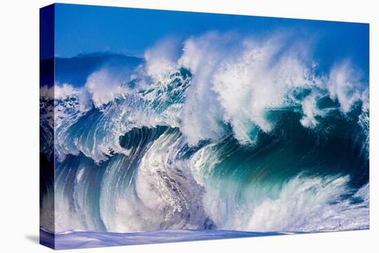 Powerful wave breaking off a beach, Hawaii-Mark A Johnson-Premier Image Canvas