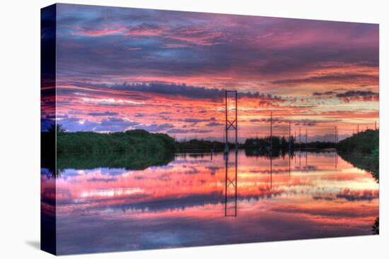 Powerline Sunrise-Robert Goldwitz-Premier Image Canvas