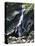 Powerscourt Waterfall, County Wicklow, Leinster, Eire (Republic of Ireland)-Philip Craven-Premier Image Canvas