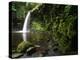 Powys, Sgwd Gwladus, a Waterfall on Neath River, Ystradfellte, Brecon Beacons National Park, Wales-Paul Harris-Premier Image Canvas