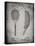 PP1127-Faded Grey Vintage Tennis Racket 1891 Patent Poster-Cole Borders-Premier Image Canvas