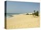 Praia De Chaves (Chaves Beach), Boa Vista, Cape Verde Islands, Atlantic, Africa-Robert Harding-Premier Image Canvas