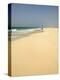 Praia De Santa Monica (Santa Monica Beach), Boa Vista, Cape Verde Islands, Atlantic, Africa-R H Productions-Premier Image Canvas