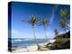 Praia Do Amor, Pipa (Natal), Rio Grande Do Norte State, Brazil, South America-Sergio Pitamitz-Premier Image Canvas