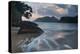 Praia Do Camburi at Sunset in Ubatuba-Alex Saberi-Premier Image Canvas