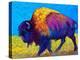 Prairie Dusk-Marion Rose-Premier Image Canvas