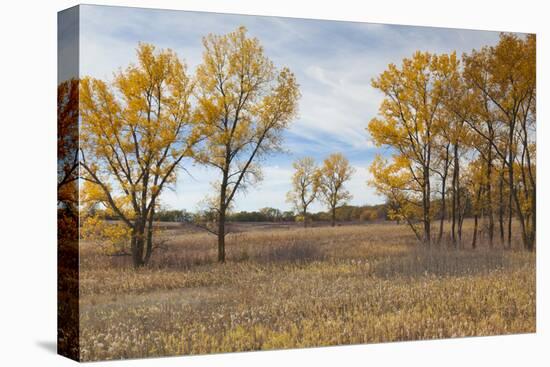 Prairie Grassland, Beatrice, Nebraska, USA-Walter Bibikow-Premier Image Canvas