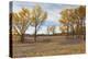 Prairie Grassland, Beatrice, Nebraska, USA-Walter Bibikow-Premier Image Canvas