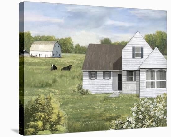 Prairie Life-Mark Chandon-Stretched Canvas