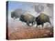 Prairie Thunder-Jack Sorenson-Stretched Canvas