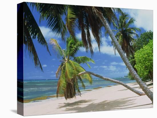 Praslin Beach, Seychelles, Indian Ocean, Africa-Hans Peter Merten-Premier Image Canvas