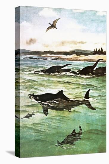 Pre-Historic Sea Creatures-English School-Premier Image Canvas