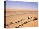 Pre-Islamic Settlement, Messak Mellet, Southwest Desert, Libya, North Africa, Africa-Nico Tondini-Premier Image Canvas