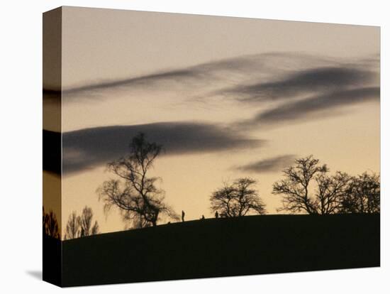 Pre-Storm, Hampstead Heath, London, England, United Kingdom-Upperhall-Premier Image Canvas