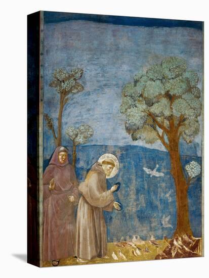 Preaching to the Birds-Giotto di Bondone-Stretched Canvas