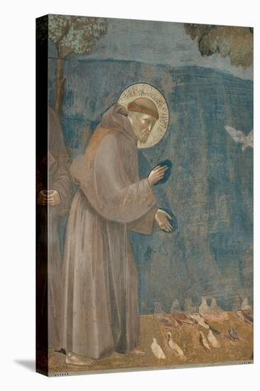 Preaching to the Birds-Giotto di Bondone-Stretched Canvas