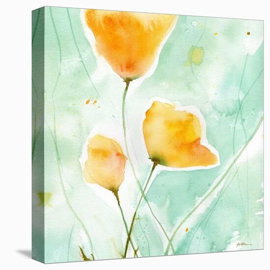 Precious Poppies-Sheila Golden-Stretched Canvas