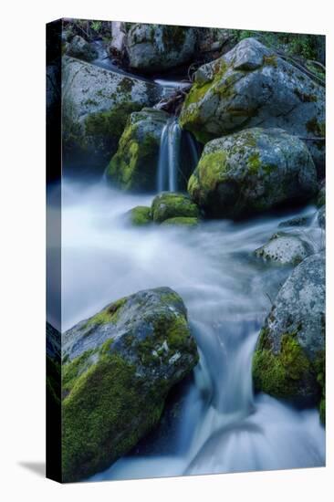 Precious Water, Alder Creek-Vincent James-Premier Image Canvas