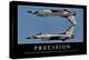 Precision: Inspirational Quote and Motivational Poster-null-Premier Image Canvas