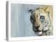 Predator (Arabian Leopard), 2009-Mark Adlington-Premier Image Canvas