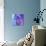 Pregnancy, Conceptual Artwork-SCIEPRO-Premier Image Canvas displayed on a wall