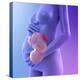 Pregnancy, Conceptual Artwork-SCIEPRO-Premier Image Canvas