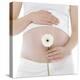 Pregnant Woman's Abdomen-Science Photo Library-Premier Image Canvas