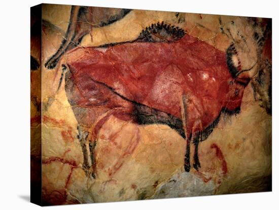 Prehistoire, Art Du Paleolithique Superieur : Un Bison Ou Auroch, Peinture Parietale Dans La Grotte-Prehistoric Prehistoric-Premier Image Canvas