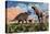 Prehistoric Battle Between a Triceratops and Tyrannosaurus Rex-null-Stretched Canvas