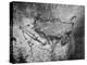 Prehistoric Cave Painting of a Hunting Scene-Ralph Morse-Premier Image Canvas