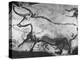 Prehistoric Cave Painting of an Animal-Ralph Morse-Premier Image Canvas