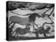 Prehistoric Cave Painting of Animals-Ralph Morse-Premier Image Canvas