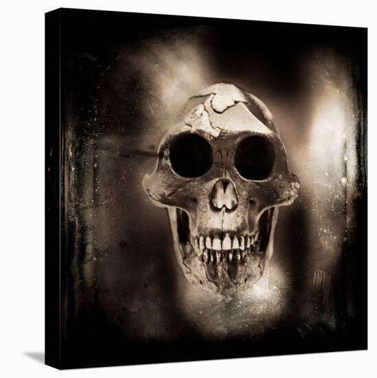 Prehistoric Skull-Clive Nolan-Premier Image Canvas