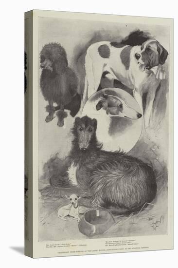 Premiership Prize-Winners at the Ladies' Kennel Association's Show at the Botanical Gardens-Cecil Aldin-Premier Image Canvas