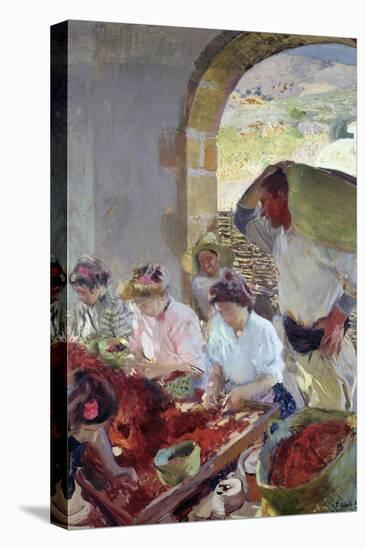 Preparing the Dry Grapes, 1890-Joaquín Sorolla y Bastida-Premier Image Canvas