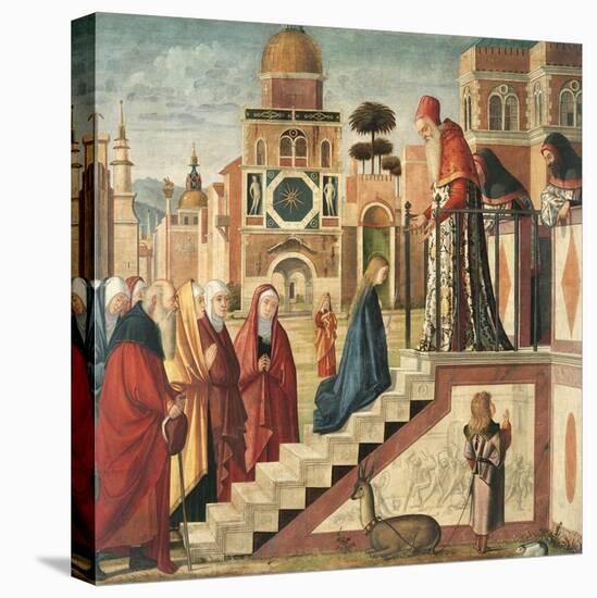 Presentation of Mary in the Temple-Vittore Carpaccio-Premier Image Canvas