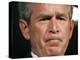 President Bush Listens to a Question About His Declassifying an Intelligence Report-null-Premier Image Canvas