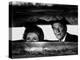 President Ronald Reagan and First Lady Nancy Reagan Peer out of a World War II Bunker-null-Premier Image Canvas