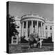 President Truman's Dog, "Feller" on White House Lawn-null-Premier Image Canvas