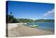 Pretty black sand volcanic beach, Epi island, Shepherd Islands, Vanuatu, Pacific-Michael Runkel-Premier Image Canvas