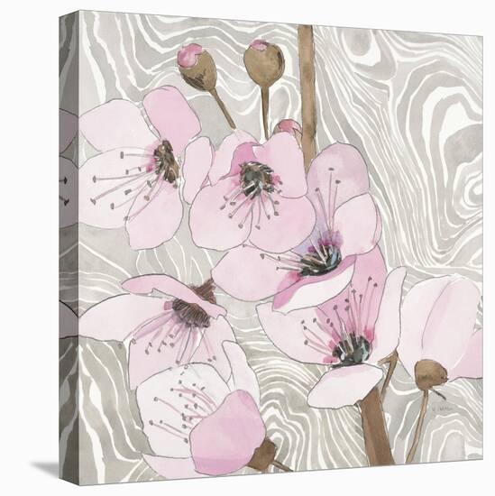 Pretty in Pink Blossoms 2-Megan Swartz-Stretched Canvas