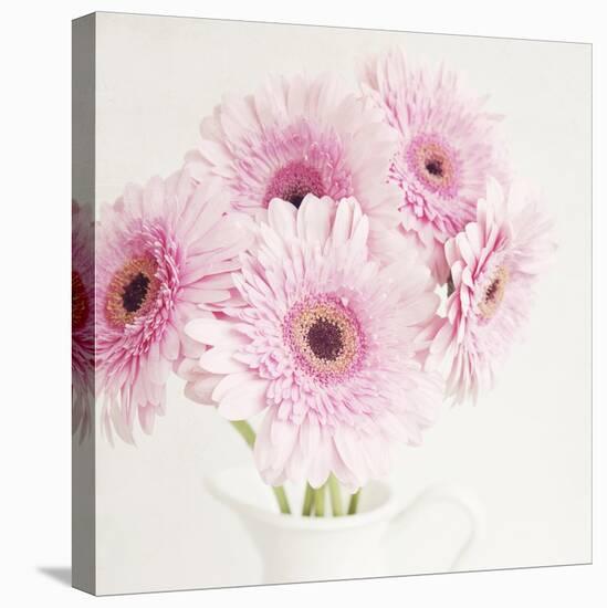 Pretty in Pink-Susannah Tucker-Stretched Canvas