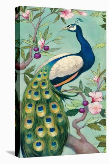 Pretty Peacock II-Julia Purinton-Stretched Canvas