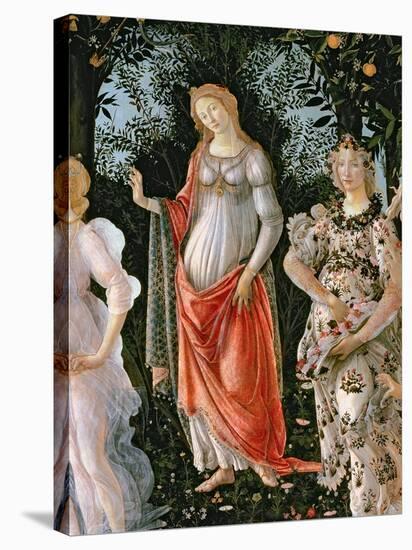 Primavera, c.1478-Sandro Botticelli-Premier Image Canvas