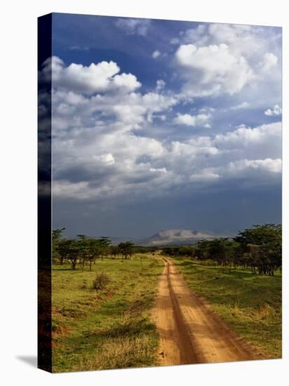 Primitive dirt road across the northern Serengeti, Serengeti National Park, Tanzania-Adam Jones-Premier Image Canvas