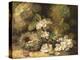 Primroses and Bird's Nests on a Mossy Bank, 1882-Oliver Clare-Premier Image Canvas